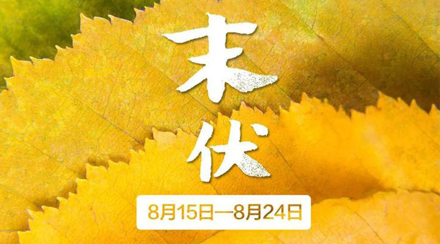 末伏時節(jié)！金環(huán)電器提醒你謹(jǐn)記這些注意事項