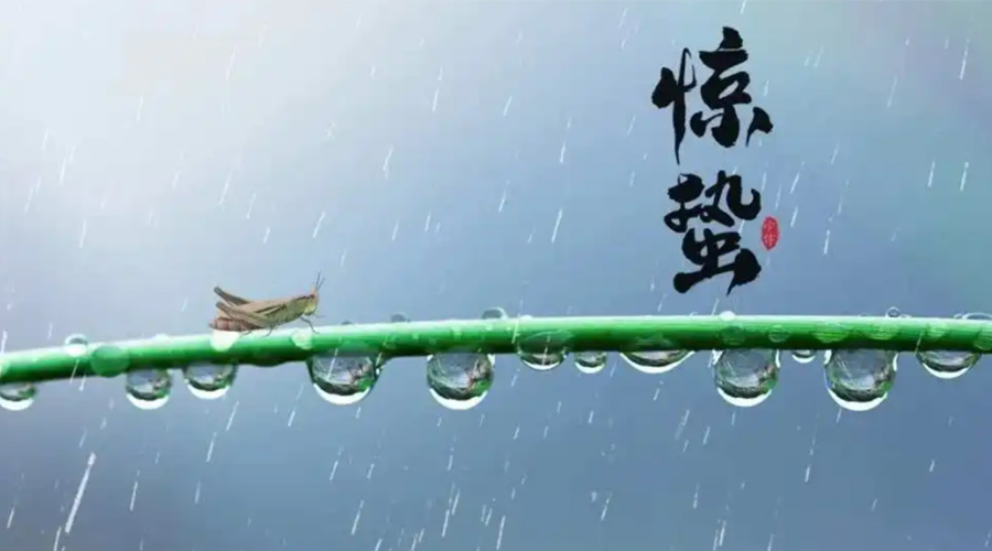 驚蟄時(shí)節(jié)！金環(huán)電器提醒大家干衣要注意這些