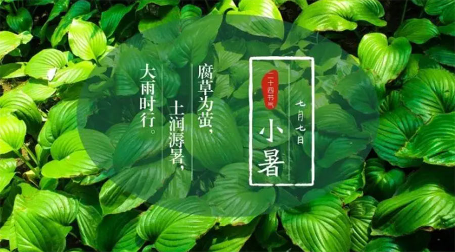 小暑時(shí)節(jié)來到！金環(huán)電器提醒大家要注意的事項(xiàng)