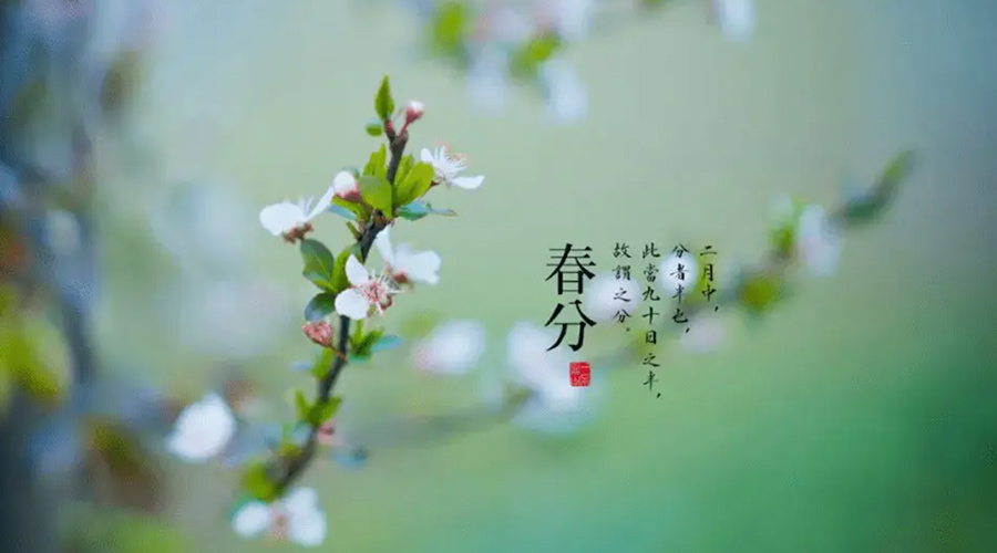 春分雨水多易生菌！金環(huán)電器提醒你衣物要注意處理